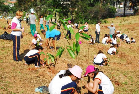 Arborização Plantio Escolar ft Emerson Ferraz 162