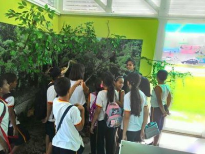 Diorama Thais II