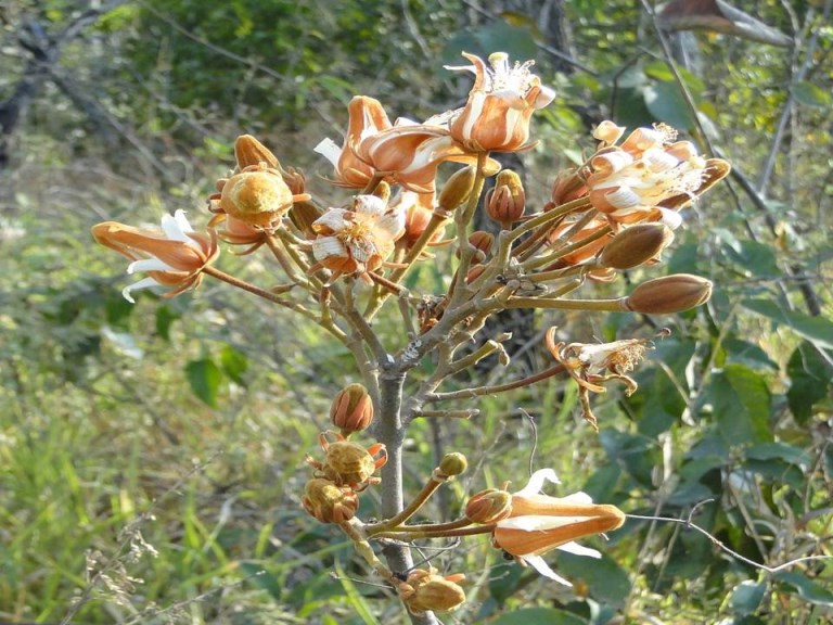 tour_cerrado