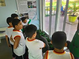 visita monitorada II