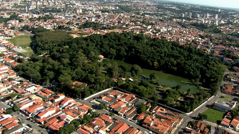 AEREA_ZOO16