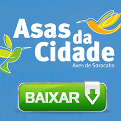 banner-site-livro
