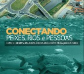 Capa livro conectando