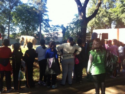 visita monitorada compac zoo