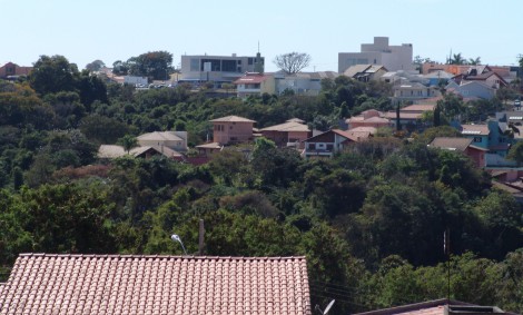 Braulio guedes