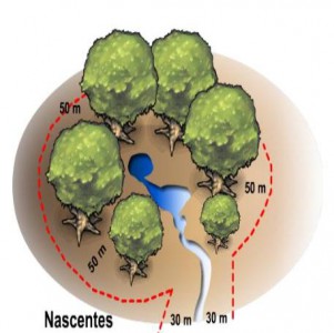 I - APP Nasc
