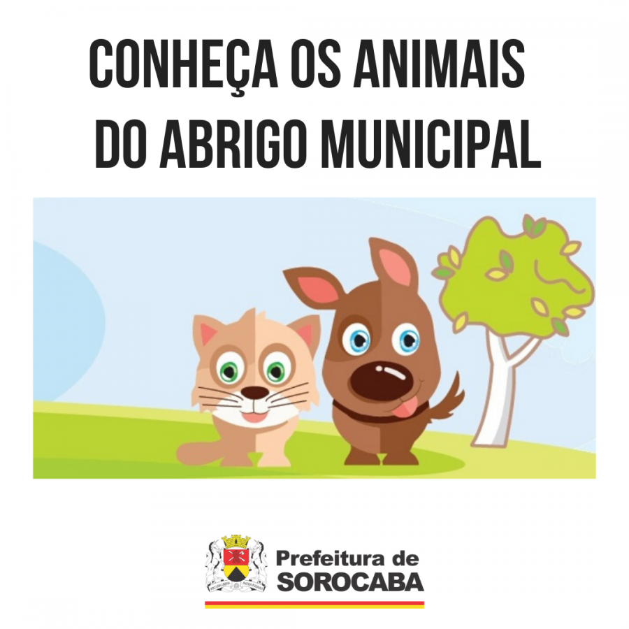 Adote um Amigo