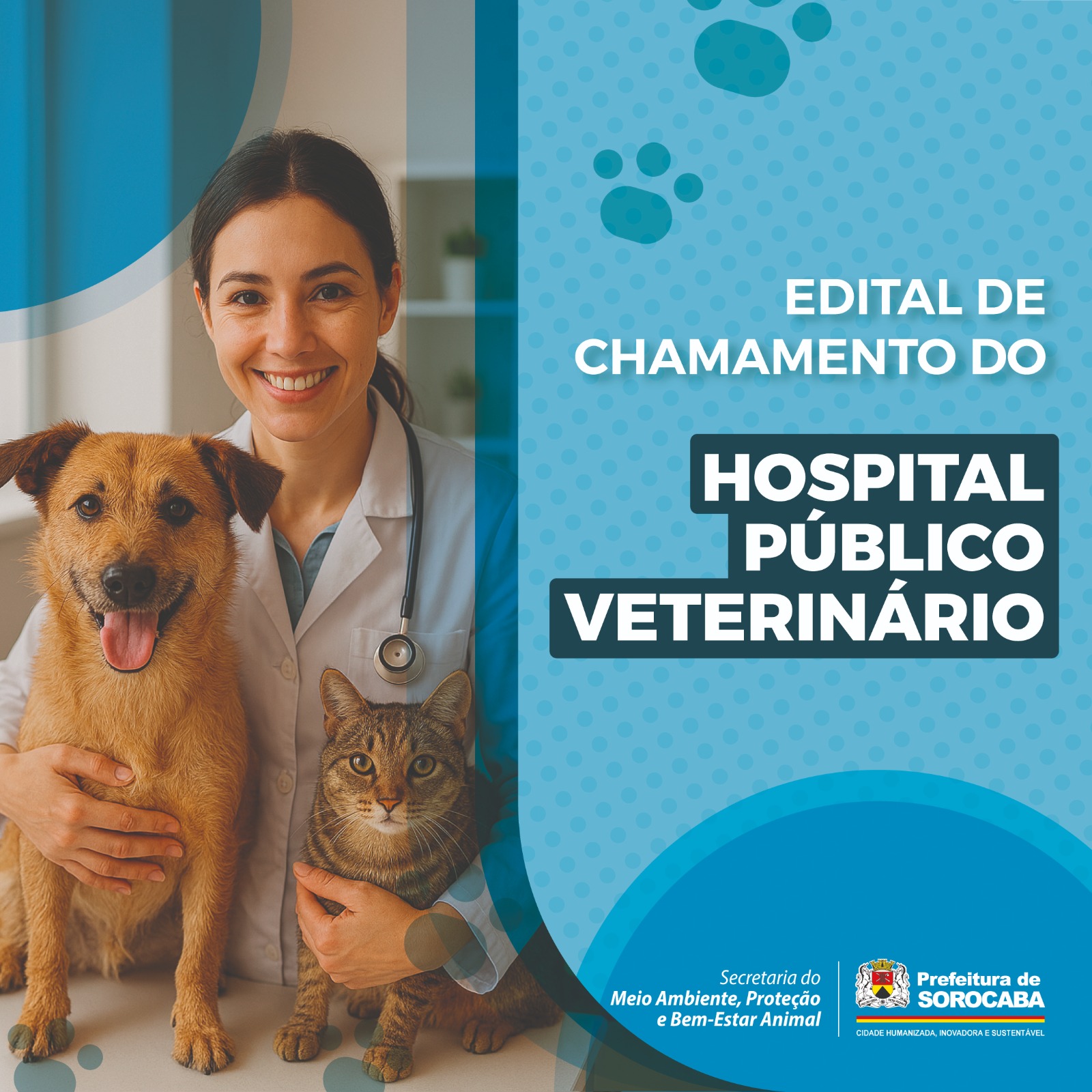 Hospital Público Veterinário